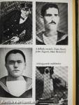 A cattarói matrózfelkelés