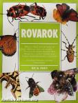 Rovarok