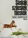 Sáskák, szöcskék, tücskök