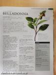 A homeopátia enciklopédiája
