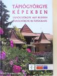 Tápiógyörgye képekben