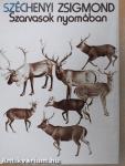Szarvasok nyomában