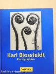 Karl Blossfeldt