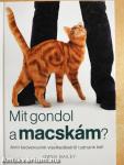 Mit gondol a macskám?