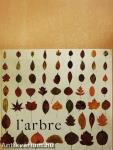 L'arbre