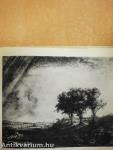 L'arbre