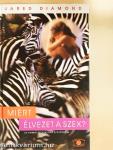 Miért élvezet a szex?