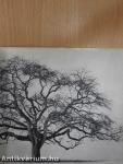 L'arbre