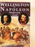Wellington és Napóleon