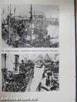 A párviadal