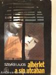 Albérlet a Síp utcában