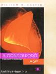 A gondolkodó agy