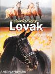 A csodálatos lovak