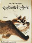 Kandúrhatnámságok