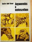 Anyanevelés a méhészetben