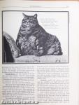 Cat Catalog