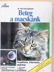 Beteg a macskánk