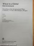 Wheat in a Global Environment