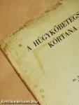 A húgykőbetegség kórtana