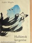 Hullámok kergetése