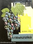 A csemegeszőlő
