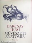 Művészeti anatómia