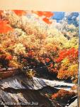 Mt. Kumgang-san