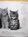 Who is my cat?