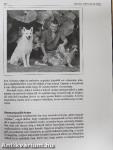 Bukfenc és Jeromos