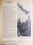 Uj Idők 1934. július-december (fél évfolyam)