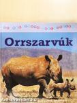 Orrszarvúk
