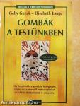 Gombák a testünkben