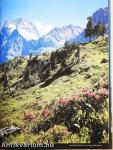 Jungfrau