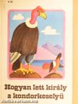 Hogyan lett király a kondorkeselyű