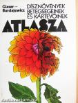 Dísznövények betegségeinek és kártevőinek atlasza