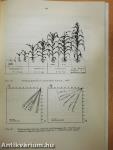 Yield response to water