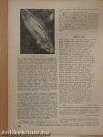 Új Idők 1948. február 7.