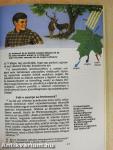 Az élet - hogyan jött létre?