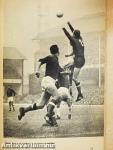 Labdarúgó VB 1966