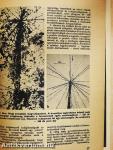 Az Élet és Tudomány Kalendáriuma 1975