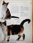 Legacy of the Cat