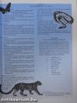 Creative Classroom Activities