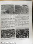 Antarctic Soils and Soil Forming Processes