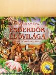 Esőerdők élővilága