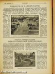 Zászlónk 1925. január-1926. június