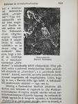 Giarion/Fuvolás férfi/Dr Pokol