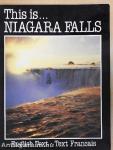This is Niagara Falls