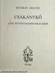 Csákánykő