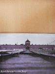 Auschwitz Birkenau