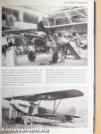 A Luftwaffe
